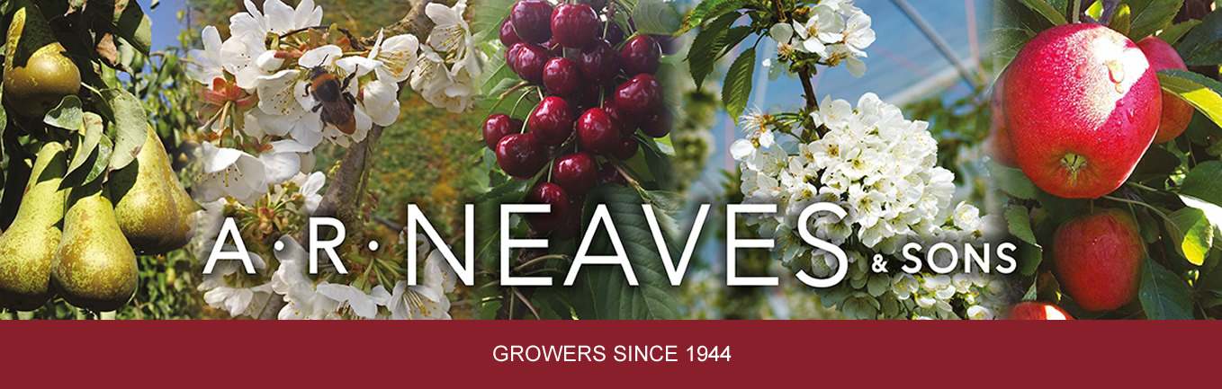 A R Neaves and Sons